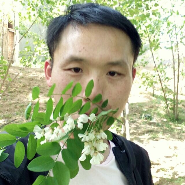 爱周口的第一张照片--河南认干亲服务网