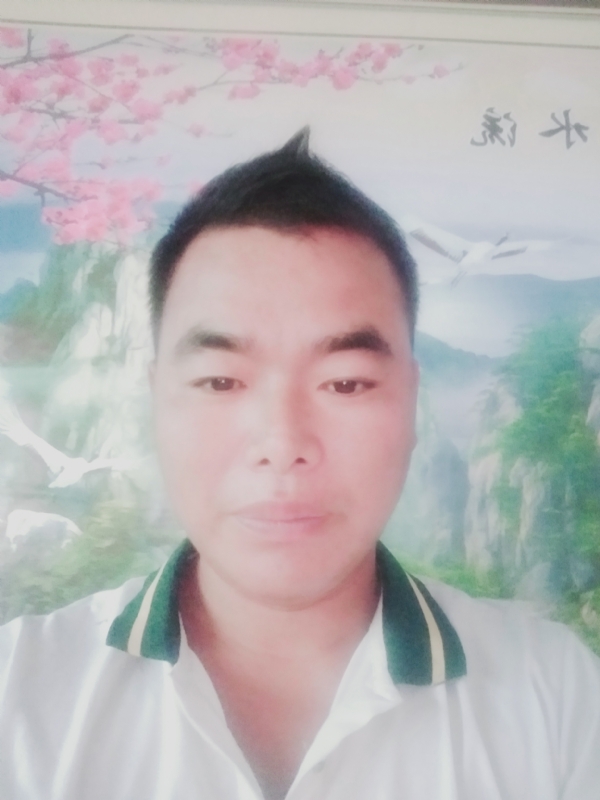 阳光男孩的第二张照片--河南认干亲服务网